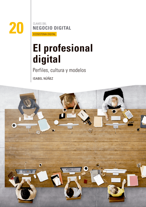 El profesional digital: perfiles, cultura y modelos